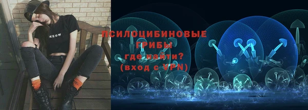 прущая мука Богородск