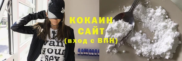 гашик Богданович