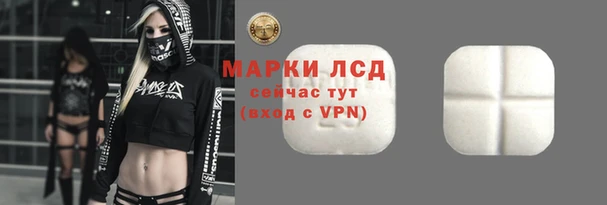 гашик Богданович
