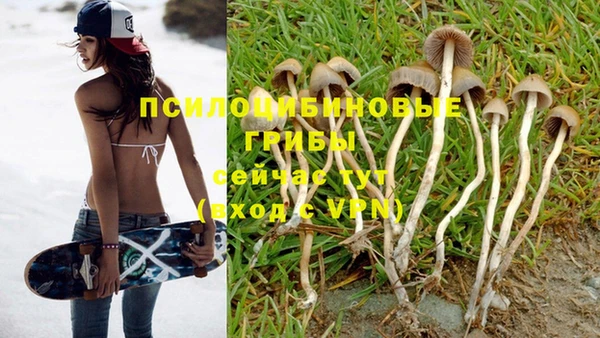 синтетический гашиш Богородицк