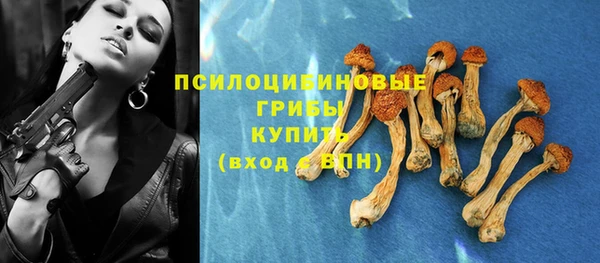 гашик Богданович